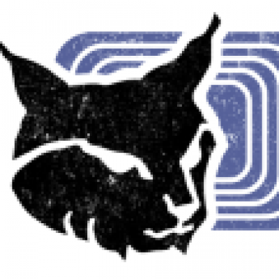 Logo von web.luchs.at