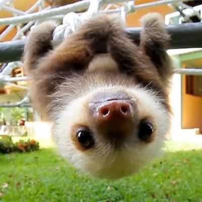 Profilbild von Michael